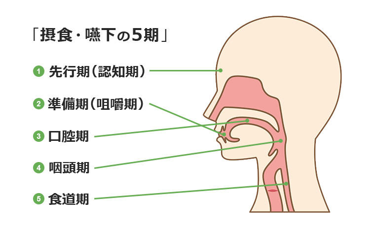 認知症の種類別にみる徘徊の原因と症状