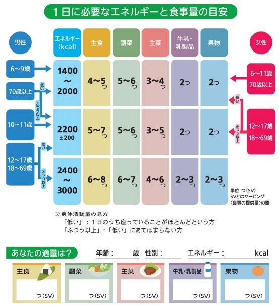 1日に必要なエネルギー量・食事量の目安