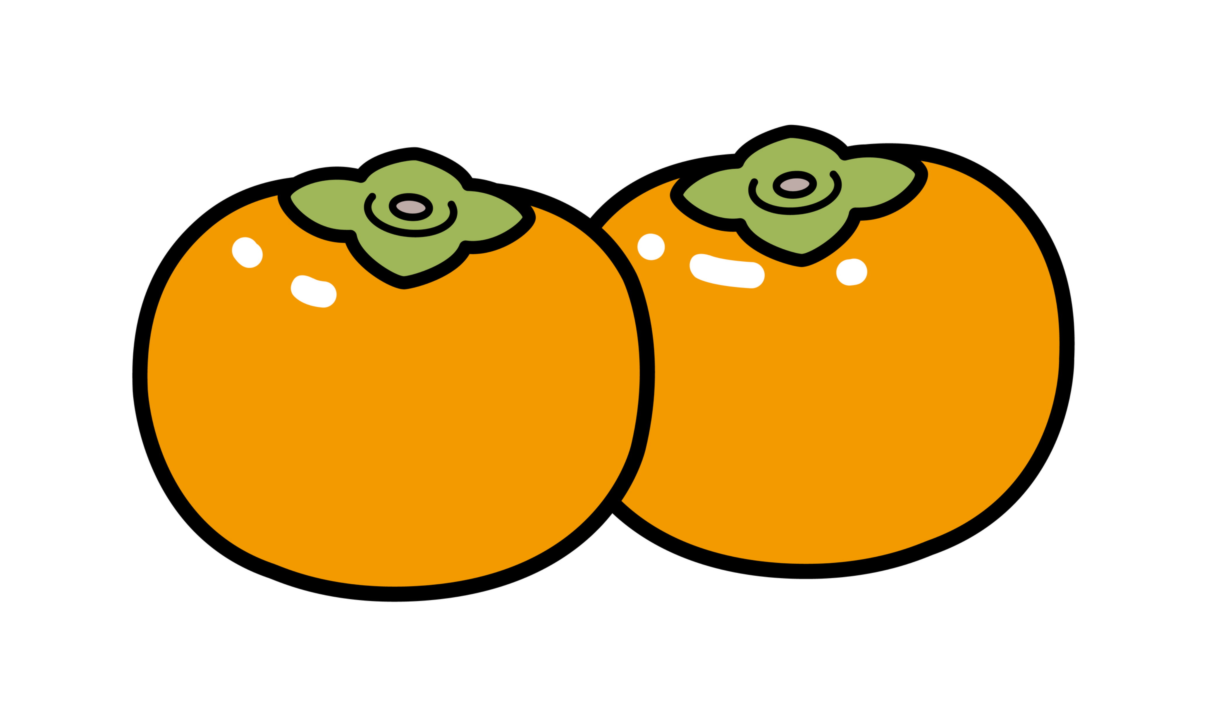 なぜオレンジ色（柿色）なの？
