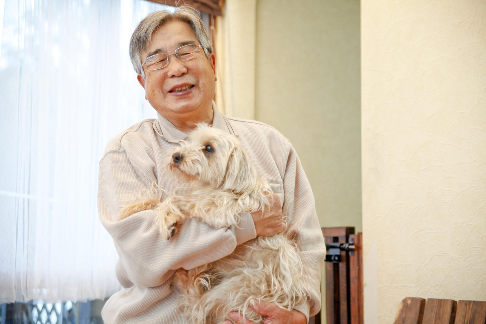 犬を抱っこするご高齢者の写真