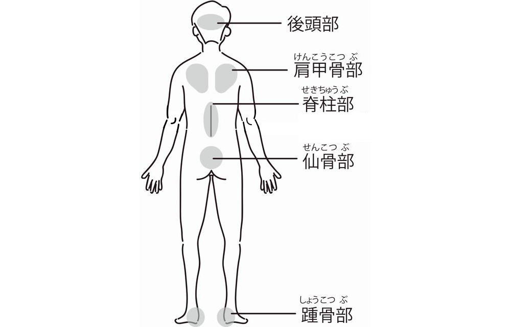 仰向け（仰臥位）